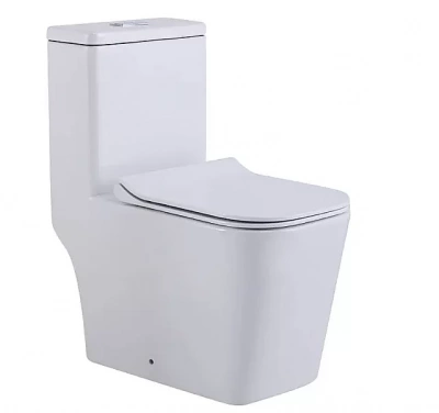 Унитаз-моноблок SantiLine SL-5024 белый, безободковый, с крышкой микролифт