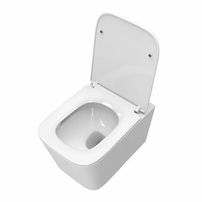 Унитаз подвесной BelBagno DUE-TOR BB5171CH-TOR/SC белый, с крышкой микролифт, безободковый, слив-торнадо