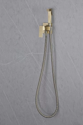 Гигиенический душ Abber DAHEIM AF8226G золото матовое
