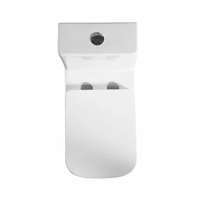 Унитаз-моноблок BelBagno NEON BB8617CPR-MN/SC белый, с крышкой микролифт, безободковый