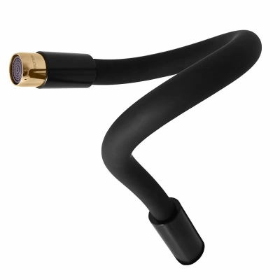 Излив Rav-Slezak SR0014/10CMATZ черный/золото