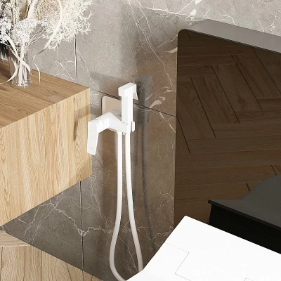 Гигиенический душ WasserKRAFT Saale 9538 белый матовый