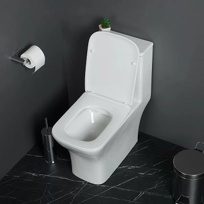 Унитаз-моноблок BelBagno NEON BB8617CPR-MN/SC белый, с крышкой микролифт, безободковый