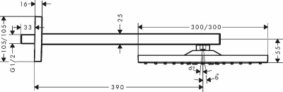 Верхний душ Hansgrohe Raindance E 300 1jet 26238990