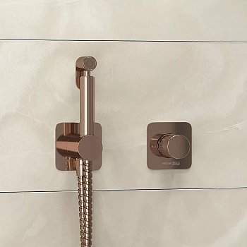 Гигиенический душ WasserKraft Paar A8851.290.292.335 розовое золото