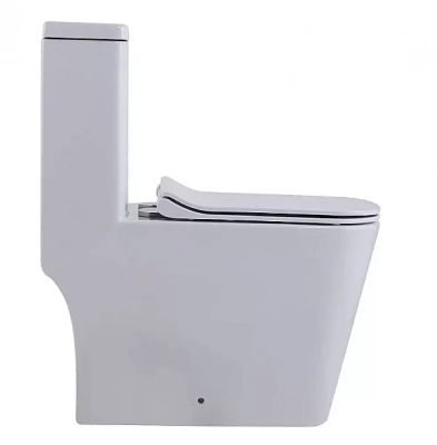 Унитаз-моноблок SantiLine SL-5024 белый, безободковый, с крышкой микролифт