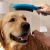 Душевая лейка для собак Hansgrohe DogShower 26640540 голубой