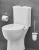 Унитаз Grohe Bau Ceramic 39349 437 безободковый, с бачком Унитаз Grohe Bau Ceramic 39349 437 безободковый, с бачком