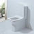 Унитаз-компакт Orans Ceramic OLS-WM9904 безободковый, с бачком, с крышкой микролифт