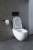 Унитаз Allen Brau Reality 4.32006.20 безободковый, с крышкой микролифт, белый