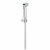 Душевой гарнитур Grohe Tempesta-F Trigger Spray 27513001 Душевой гарнитур Grohe Tempesta-F Trigger Spray 27513001