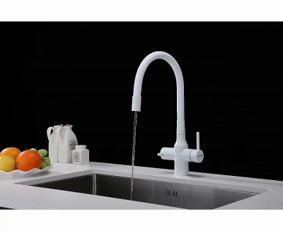 Смеситель для кухни Paulmark Salix Sa213419-431 белый матовый