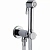 Гигиенический душ Bossini Paloma Brass E37007B.030 хром