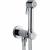 Гигиенический душ Bossini Paloma Brass E37007B.030 хром