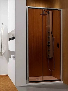 Душевая дверь Radaway Premium Plus DWJ 100 стекло тонированное