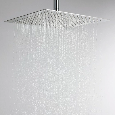 Верхний душ WasserKRAFT A118