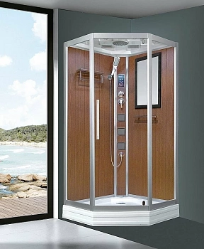 Душевая кабина Niagara Luxe 7717WD 100х100