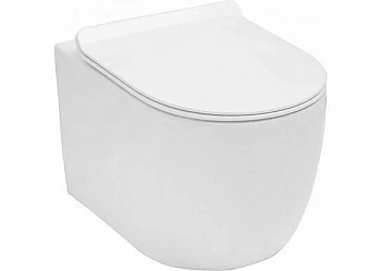 Подвесной унитаз Aquanet Rimless Cetus-W BL-102N-WHT с крышкой микролифт, безободковый