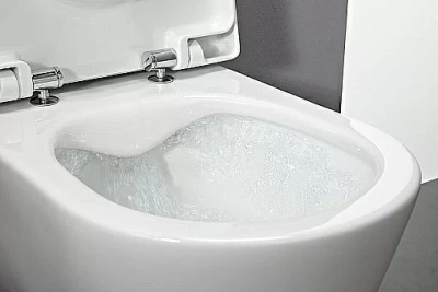 Унитаз подвесной Laufen Pro 8.2096.5.000.000.1