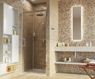 Душевая дверь WasserKRAFT Salm 27I12 100