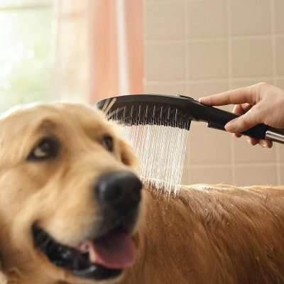 Душевая лейка для собак Hansgrohe DogShower 26640670 черный матовый