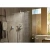 Душевая лейка Hansgrohe Raindance Select S 120 3jet 26530000 Душевая лейка Hansgrohe Raindance Select S 120 3jet 26530000