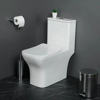 Унитаз-моноблок BelBagno NEON BB8617CPR-MN/SC белый, с крышкой микролифт, безободковый
