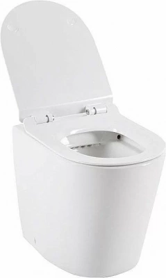 Приставной унитаз Aquanet Rimless Atago-F BL-104N-FST с крышкой микролифт, безободковый