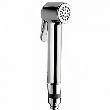 Гигиенический душ Bossini Paloma Brass B00470.030 хром