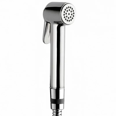 Гигиенический душ Bossini Paloma Brass B00470.030 хром