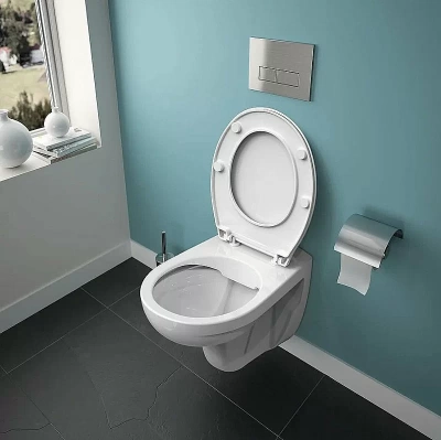 Унитаз подвесной Ideal Standard Eurovit K881201 белый, безободковый, с крышкой микролифт