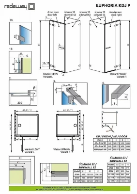 Душевой уголок Radaway Euphoria KDJ P 100x80