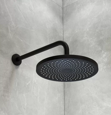 Верхний душ Iddis Optima Home OPH25BPi64 черный матовый