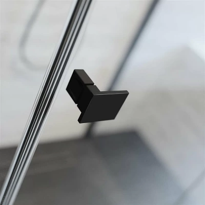 Душевая дверь Radaway Essenza New Black DWJ 120