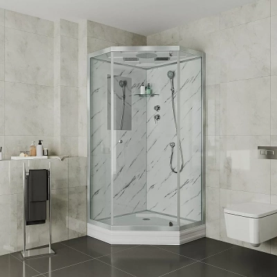 Душевая кабина Niagara Luxe NG-7702DM 100x100