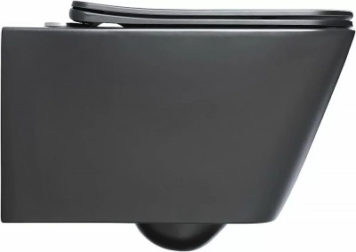 Унитаз подвесной Aquanet Rimless Tavr-W BL-103N-WHT black черный матовый, с крышкой микролифт, безободковый
