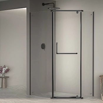 Душевой уголок RGW Passage PA-091B 90x100 35089190-14 стекло прозрачное/профиль черный