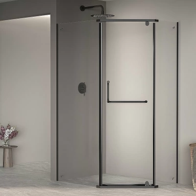 Душевой уголок RGW Passage PA-091B 100x120 35089102-14 стекло прозрачное/профиль черный