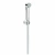 Душевой гарнитур Grohe Tempesta-F Trigger Spray 26354000