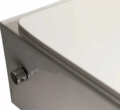 Унитаз подвесной SantiLine SL-5004SM-BD безободковый, с крышкой микролифт