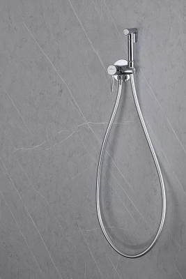 Гигиенический душ Abber WASSER KREIS AF8125 хром